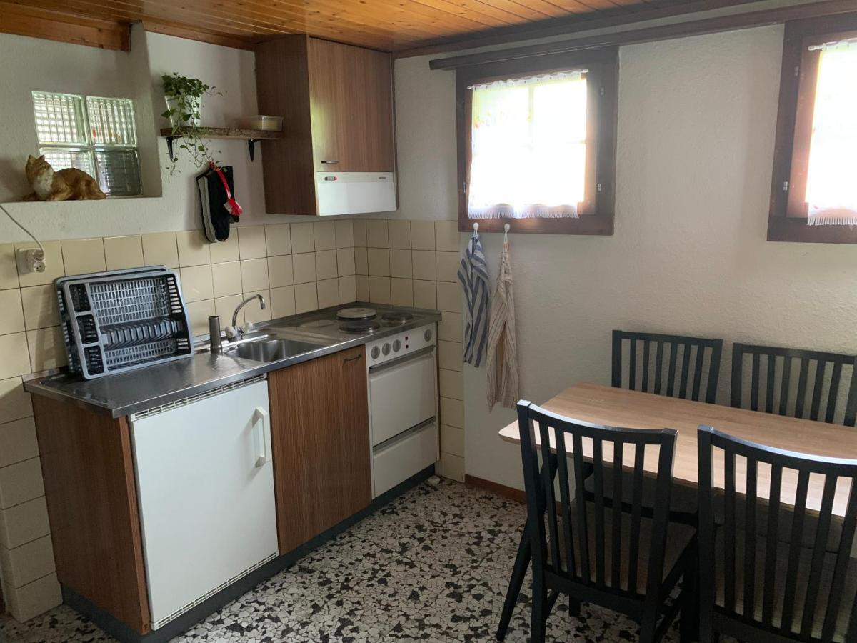 Naturnahe Wohnung Fur 1 - 4 Personen Brienz  Extérieur photo